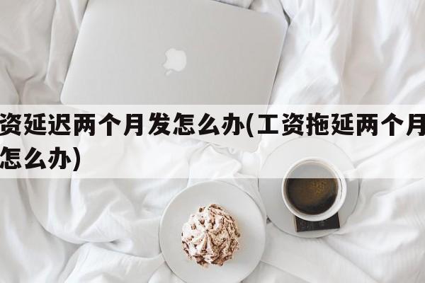 工资延迟两个月发怎么办(工资拖延两个月不发怎么办)